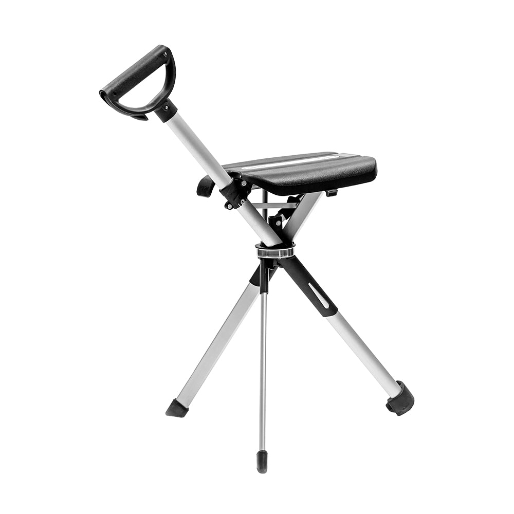 2 - in - 1 Cane with Seat - Zambeel