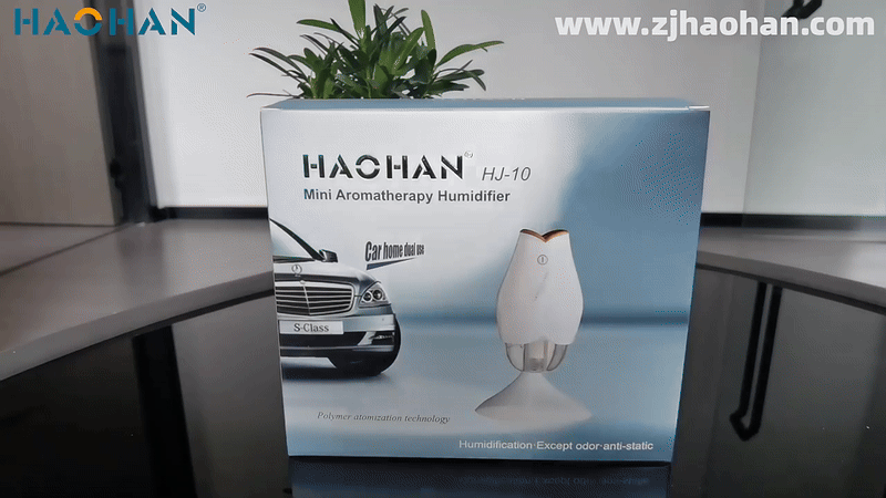 HaoHan -  Multifunctional Aromatherapy Humidifier