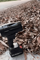 Cordless Violent Fan Ⓢ