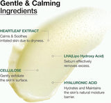Anua - Heartleaf + LHA Moisture Peeling Gel (Original) - Zambeel