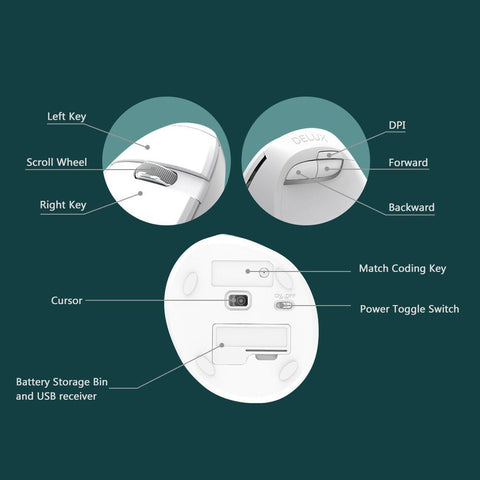 Colorful M618mini Wireless Vertical Vertical Mouse Bluetooth Dual - Mode Laptop Ergonomic Mouse - Zambeel