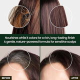 Dongsung - Herb Speedy Hair Color Cream - Zambeel