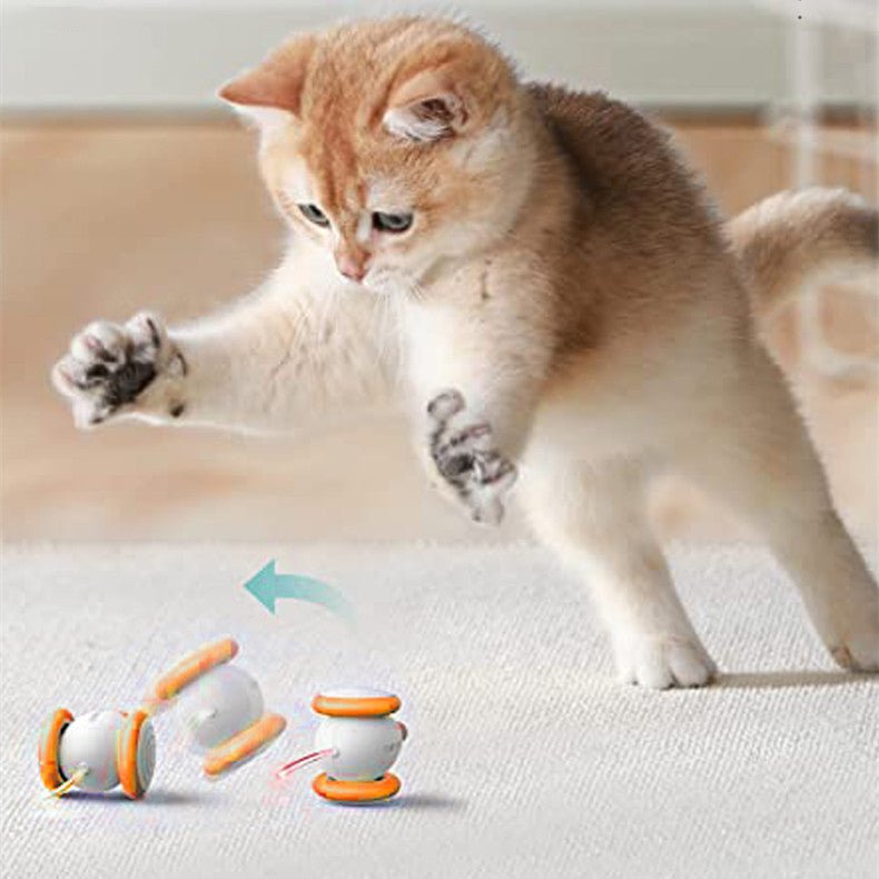 Electric Intelligent Teasing Cat Charging Toys - Zambeel