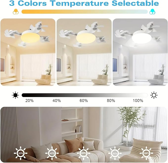 F4 - Multifunctional Fan Light - Zambeel
