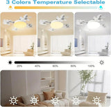 F4 - Multifunctional Fan Light - Zambeel