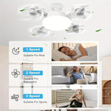 F4 - Multifunctional Fan Light - Zambeel