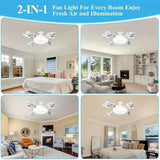 F4 - Multifunctional Fan Light - Zambeel