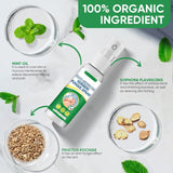 Hand Ringworm Beriberi Fungus Spray (Original) - Zambeel