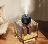 Heal Mood Fragrance Diffuser - Zambeel