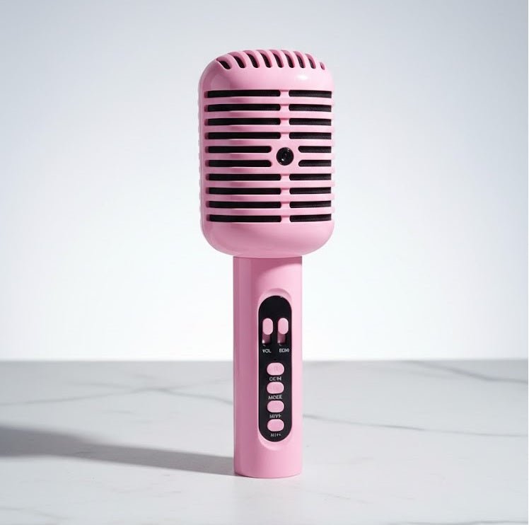 Hi - Fi Portable Karaoke Speaker with Mic - Zambeel