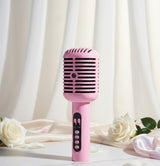 Hi - Fi Portable Karaoke Speaker with Mic - Zambeel