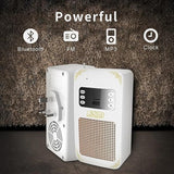 Honton - Quran Speaker (SQ669) - Zambeel