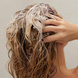 Ice Me - Cool Menthol Shampoo (Energy) - Zambeel