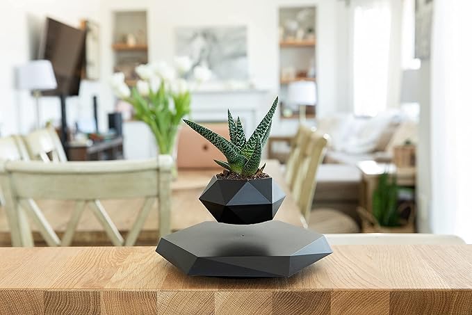Levitating - Bonsai Planter Pot © - Zambeel