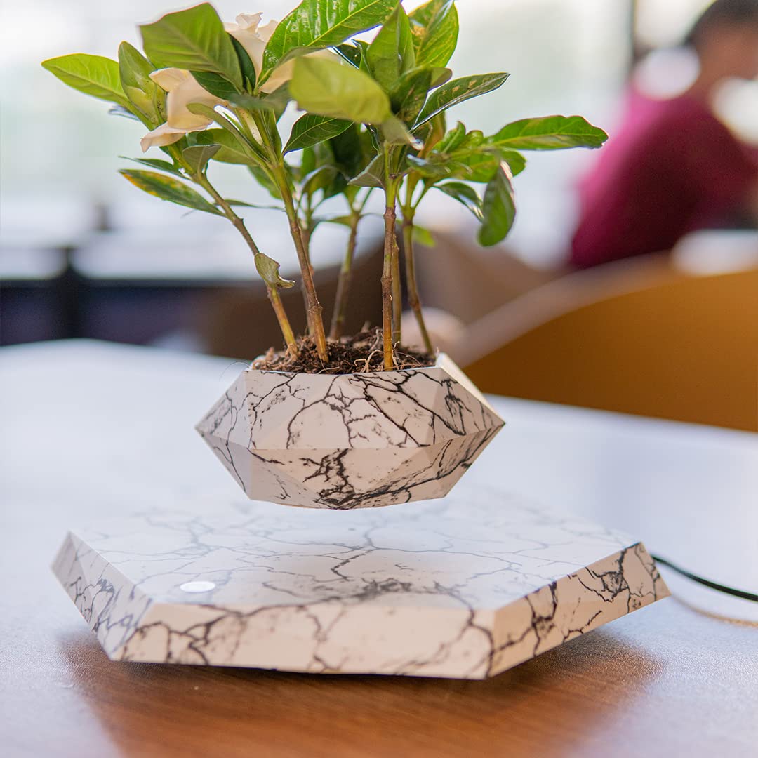 Levitating - Magnetic Floating Marble Pot © - Zambeel