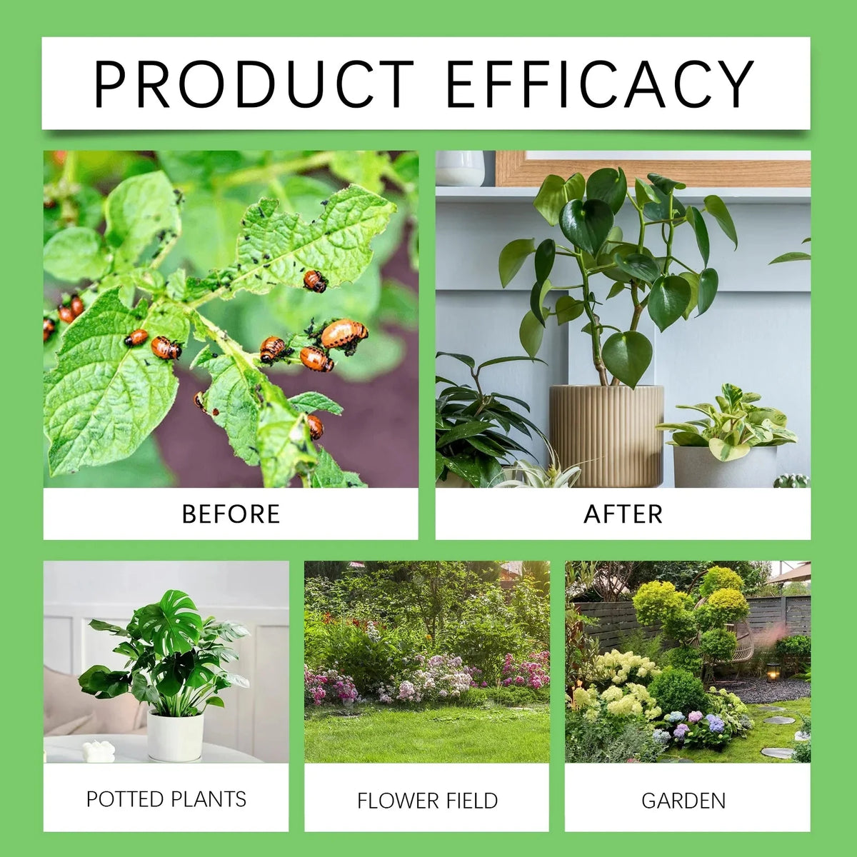 MoonSpry - Plant Pesticide - Zambeel