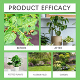 MoonSpry - Plant Pesticide - Zambeel