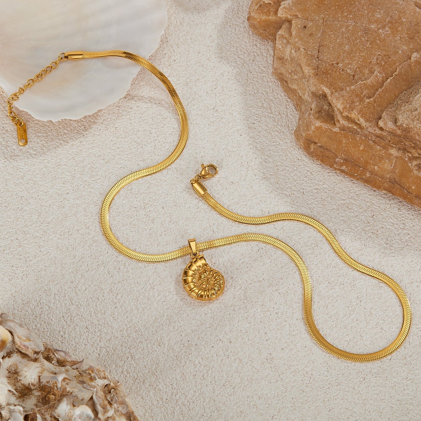 Ocean Series Stainless Steel Conch Shape Hundred Clavicle Chain - Zambeel