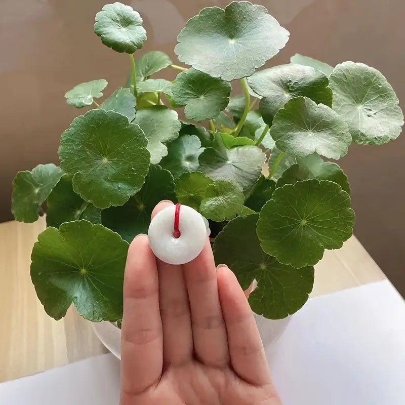 Peace Donut Healing Crystal Jadeite,Circle Coin Shaped Stone Pendant Adjustable Braided Cord Necklace For Inner Peace - Zambeel