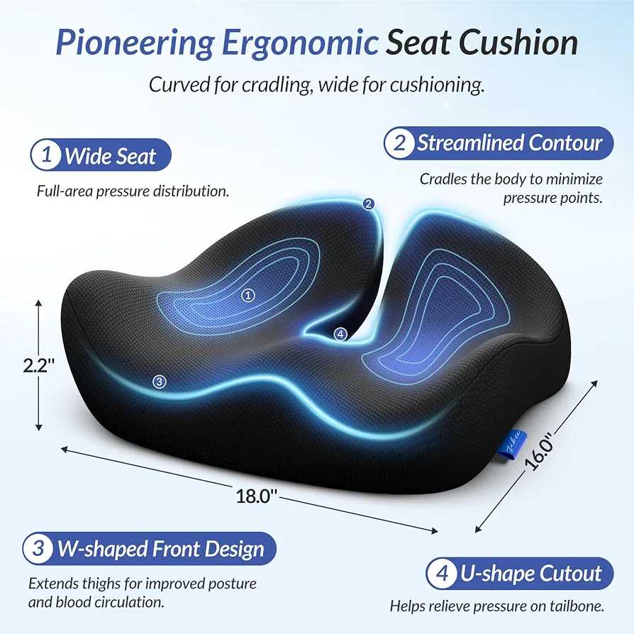 Pioneering Ergonomic Seat Cushions - Zambeel