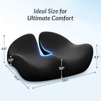 Pioneering Ergonomic Seat Cushions - Zambeel
