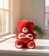 Red Love Teddy Bear with Heart Cushion - Zambeel