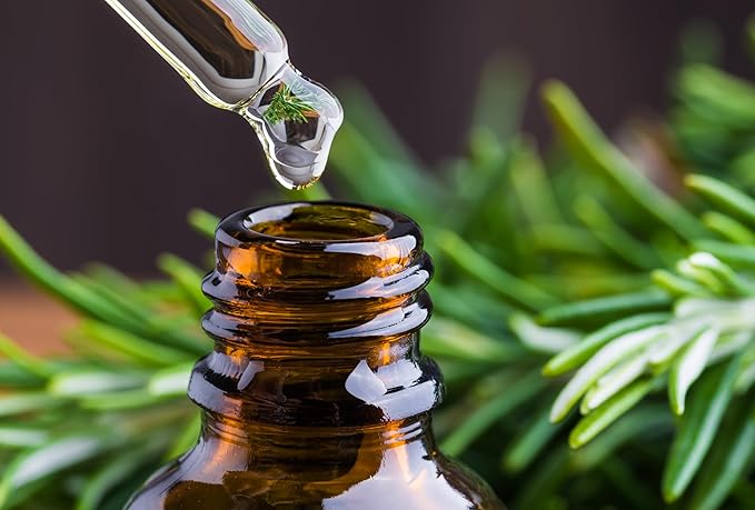 Rosemary Barij - Herbal Solution Oil (Original) - Zambeel