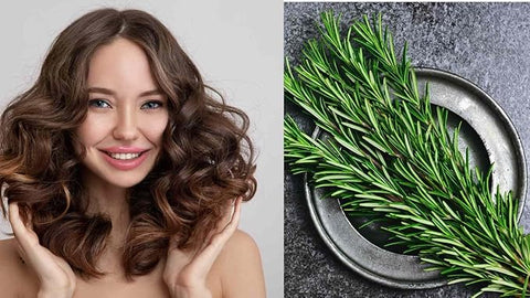 Rosemary Barij - Herbal Solution Oil (Original) - Zambeel