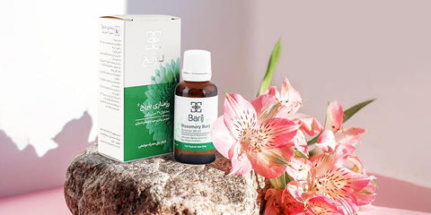 Rosemary Barij - Herbal Solution Oil (Original) - Zambeel