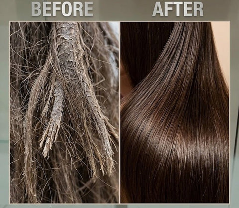 Royallines Oil Replacement - Damage Repair - Zambeel