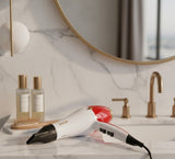 ROZIA - Hair Dryer - Zambeel