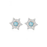 S925 Silver Female Simple Temperamental And Personalized Rhinestone Earrings - Zambeel