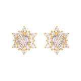 S925 Silver French Snowflake Zircon Stud Earrings - Zambeel