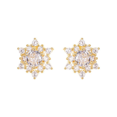 S925 Silver French Snowflake Zircon Stud Earrings - Zambeel