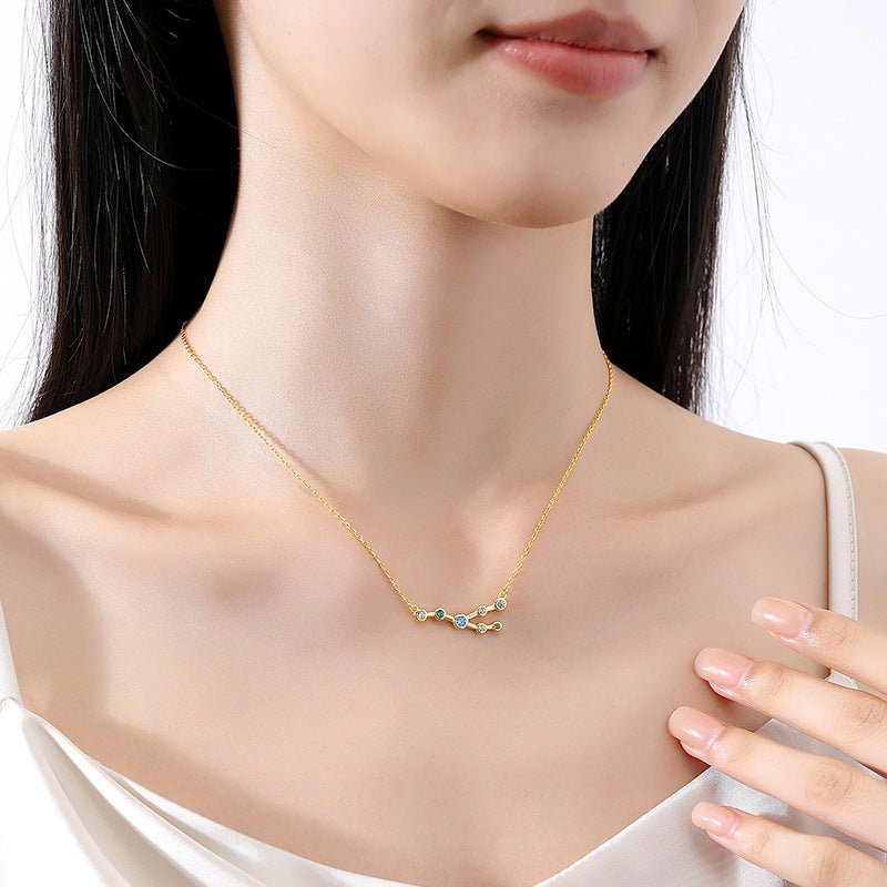 S925 Sterling Silver Twelve Constellation Zircon Necklace For Women - Zambeel