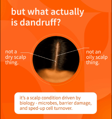Sebamed - Anti - Dandruff Shampoo for Oily Hair - Zambeel