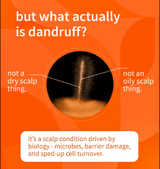 Sebamed - Anti - Dandruff Shampoo for Oily Hair - Zambeel