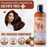 Skin Doctor - Shampoo & Conditioner (Original) - Zambeel