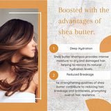 Skin Doctor - Shea Butter Regenerating Shampoo (Original) - Zambeel