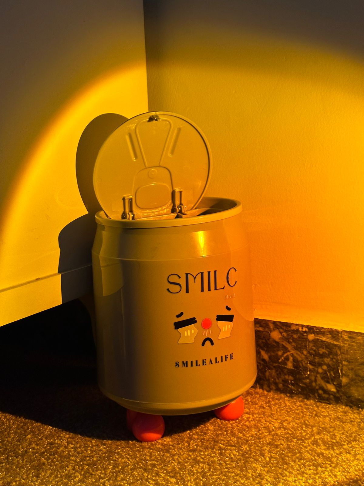 SmileLife Desk Organizer Bin - Zambeel