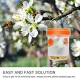 Solar - Powered Wasp Trap - Zambeel