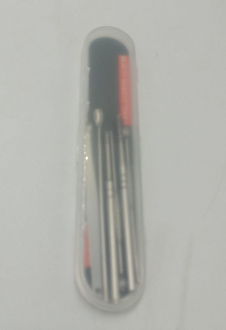 Stainless Steel Ear Pick Set with Keychain Case - Zambeel