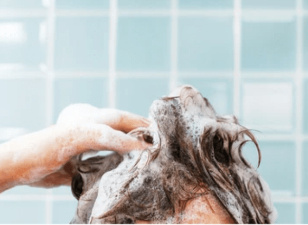 Touch Me - Black Sesame Shampoo - Zambeel