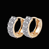 Two - color Plating Fine Zircon - embedded Earrings Women - Zambeel