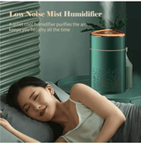 Ultrasonic Air Humidifier - Zambeel