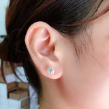 Women's Four - claw Sterling Silver Simple Stud Earrings - Zambeel